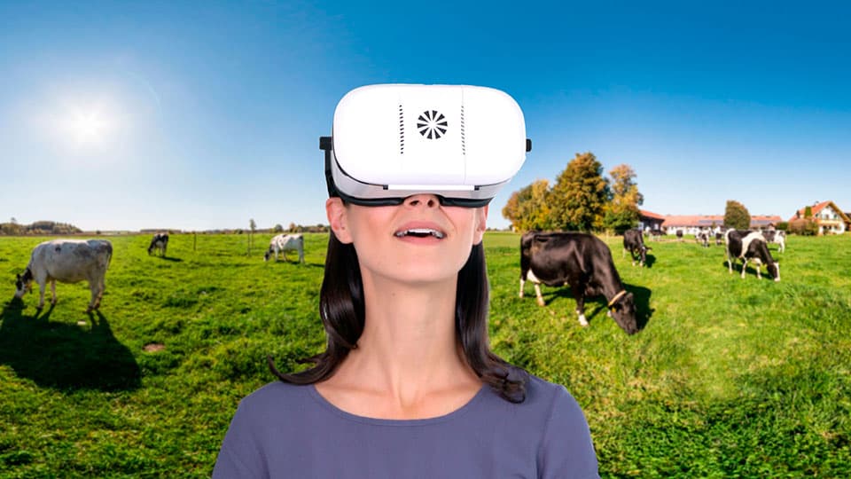 virtuelles 360° Video Bauernhof mit jeder VR-Brille erleben