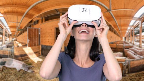 virtueller Bauernhof - in 360 Grad mit der VR-Brille erleben