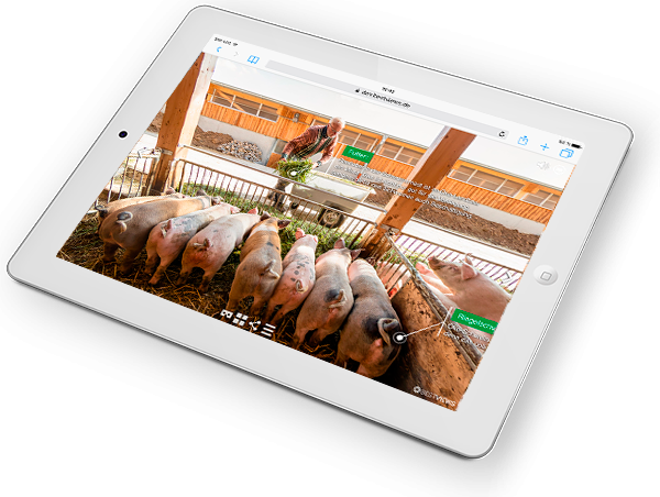 virtueller Bauernhof mit Schweinen -einfach in 360 Grad erleben