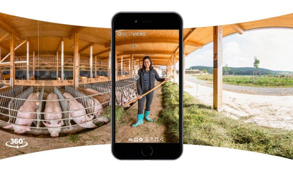 virtueller Bauernhof mit Öko Schweinen - in 360 Grad erleben